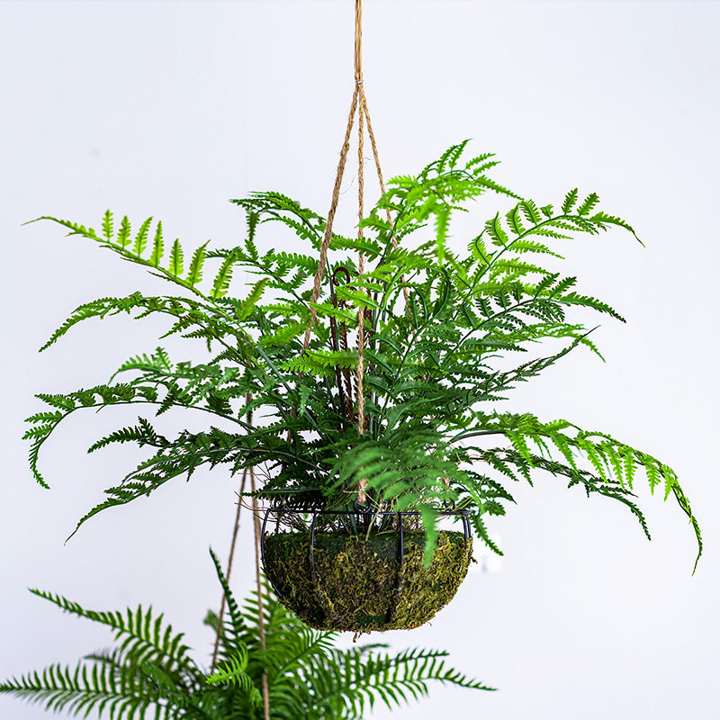 森系垂吊波斯蕨仿真植物草球吊挂盆绿植家居商铺橱窗造景悬吊式天