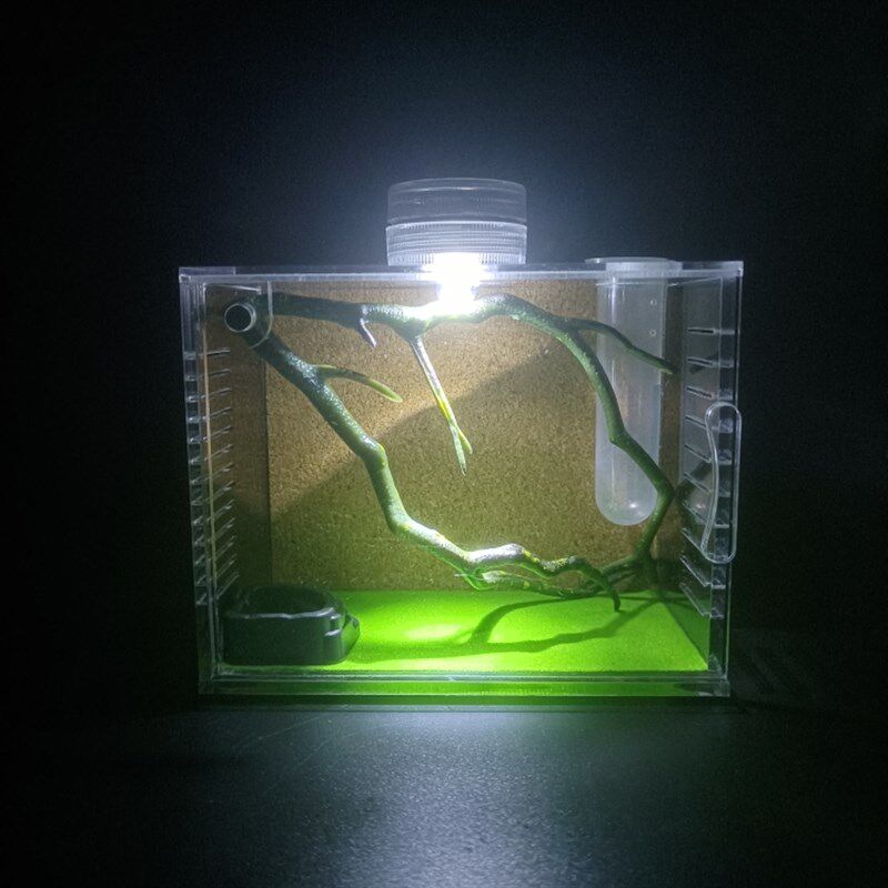 鸣虫盒饲养盒虫盒黄蛉马蛉竹蛉墨蛉金蛉金钟螽斯蝈蝈蛐蛐蟋蟀盒