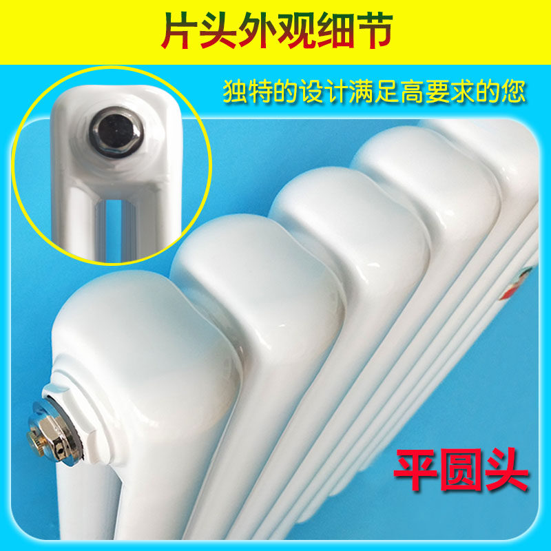 立式暖气片家用钢制装饰大水道水暖集中供暖壁挂式散热器新品现货