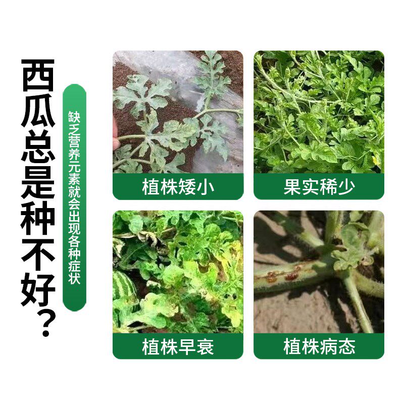 西瓜专用水溶肥料增甜增产膨大防裂生根壮苗桶装甜瓜冲施肥滴灌肥