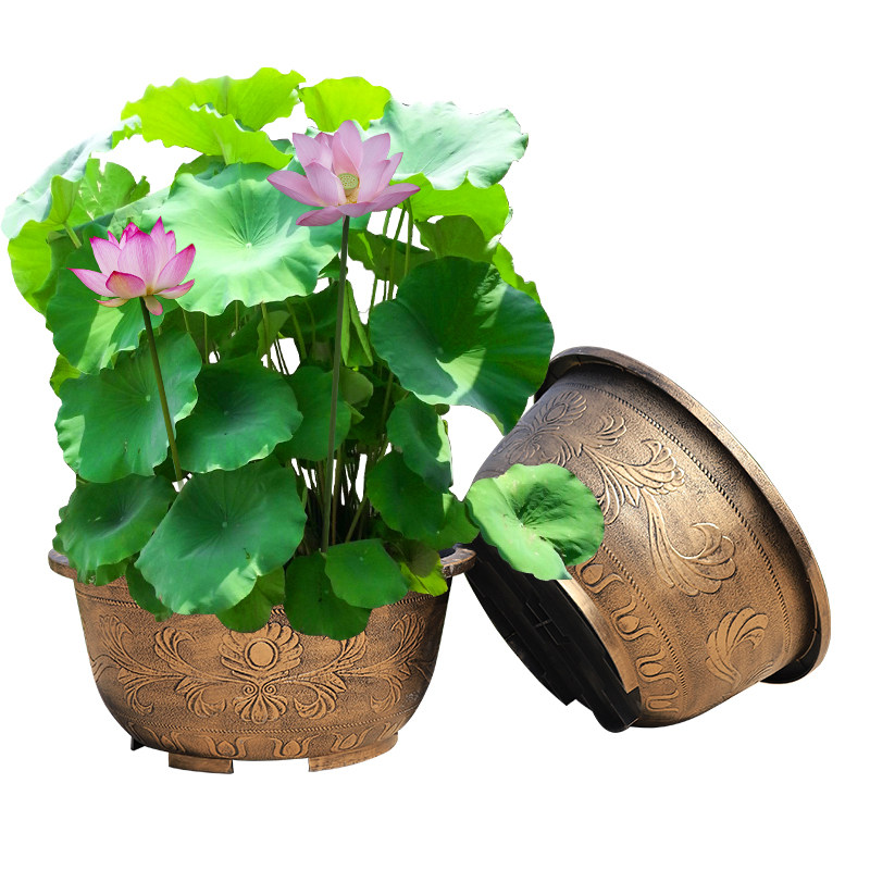 加厚加硬超大塑料树脂仿陶瓷花盆养荷花阳台庭院盆景种大果树铁树