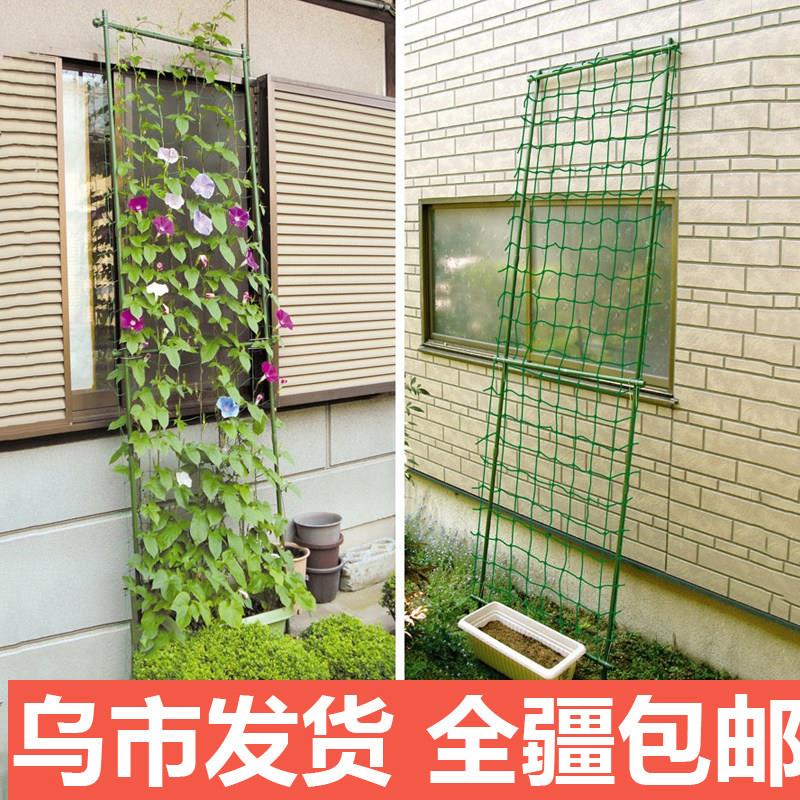 爬藤支架花架铁线莲爬架绿萝铁线月季藤架葡萄攀爬架阳台庭院架子