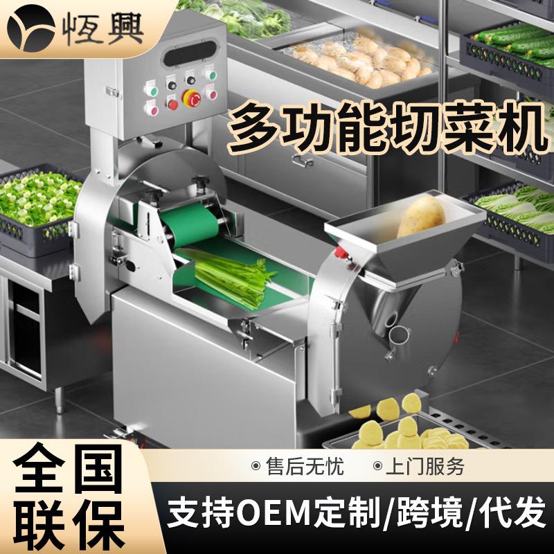 厂家直销商用多功能切菜机 全自动不锈钢切丁切丝切片切段切菜机