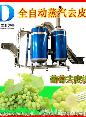 萄葡蒸汽去机 罐RWE头加工皮机 速冻葡剥萄 加工设皮备 工业