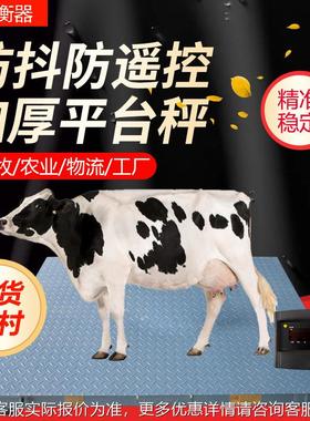 正兴SY系列小型地磅秤 1T2T3T 殖围场养防遥控SY磅秤带栏可制定推
