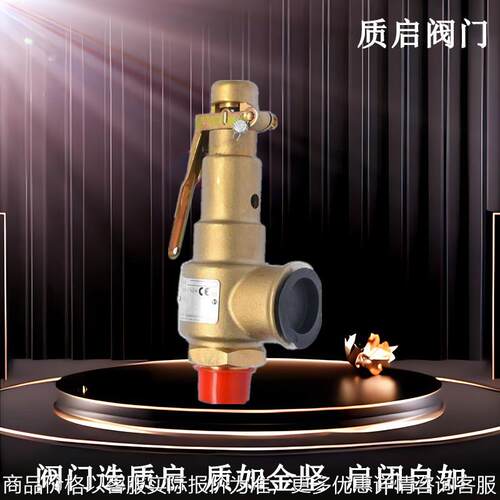 AK22X-50T弹簧式安全阀埃弗斯安全阀空压机安全阀阿特拉斯原装件