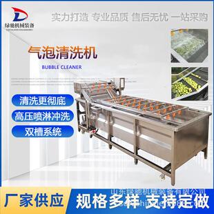 海带丝浸泡脱盐清洗机龙须菜气泡清洗设备盐渍竹笋连续清洗机