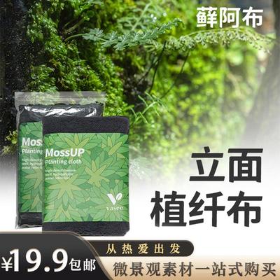 「空城里」Vasee藓阿布微景观垂直立面苔藓种植布植藓棉降解绑线