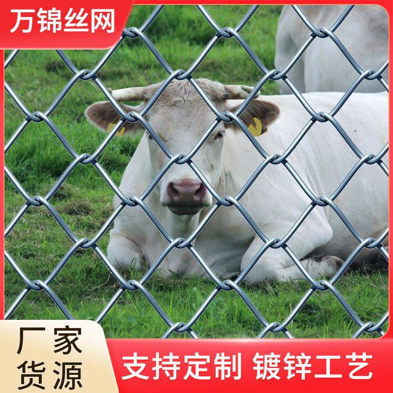 镀锌勾花网菱形拧边果园养殖防护网水库围栏护栏网鱼塘隔离围网