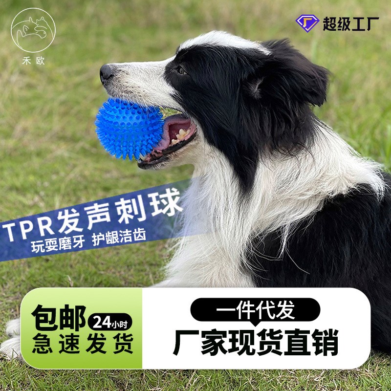 直销狗狗玩具中号m刺球狗玩具 9CM发声宠物磨牙玩具中型犬