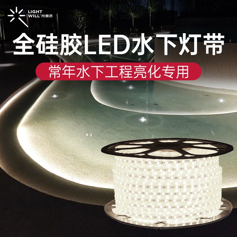 LED灯带低压防水2o4V硅胶灯带喷池泳池高透光亮化可裁剪水底灯带