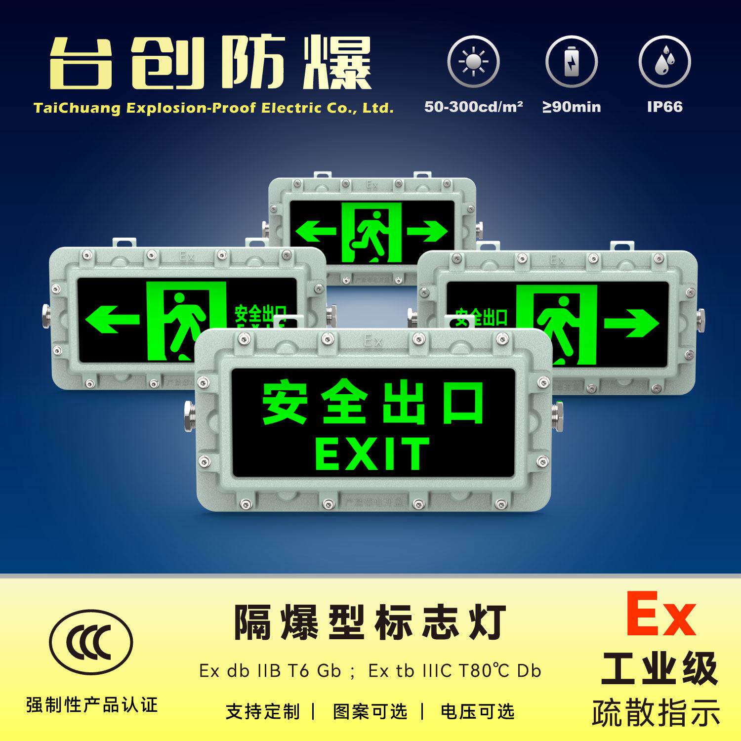 台创tcbzd防爆标志灯安全出口紧急照明灯消防疏散指示铝合金防水