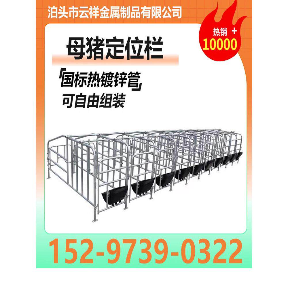 包邮母猪定位栏落地式2.5加厚热镀锌复合板限位栏 猪用产床定位栏