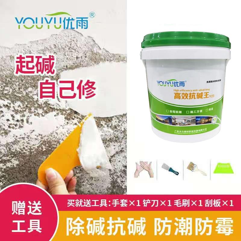 墙面起碱克星防潮防霉涂料抗碱除霉背水面补墙膏除碱剂室内混凝土