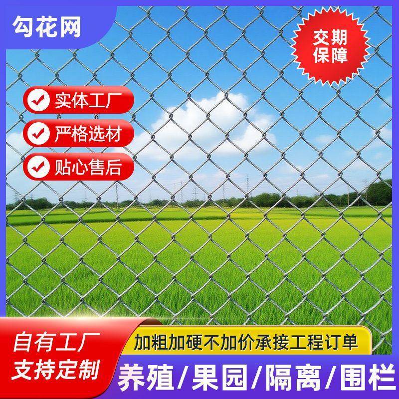 镀锌铁丝网钢丝勾花网护栏网菱养猪养羊养狗围栏菜园果园勾花网