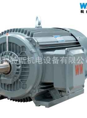 现货销售皖南电机WNMYE3-100L-6三相电机1.5KWB3卧式直连安装