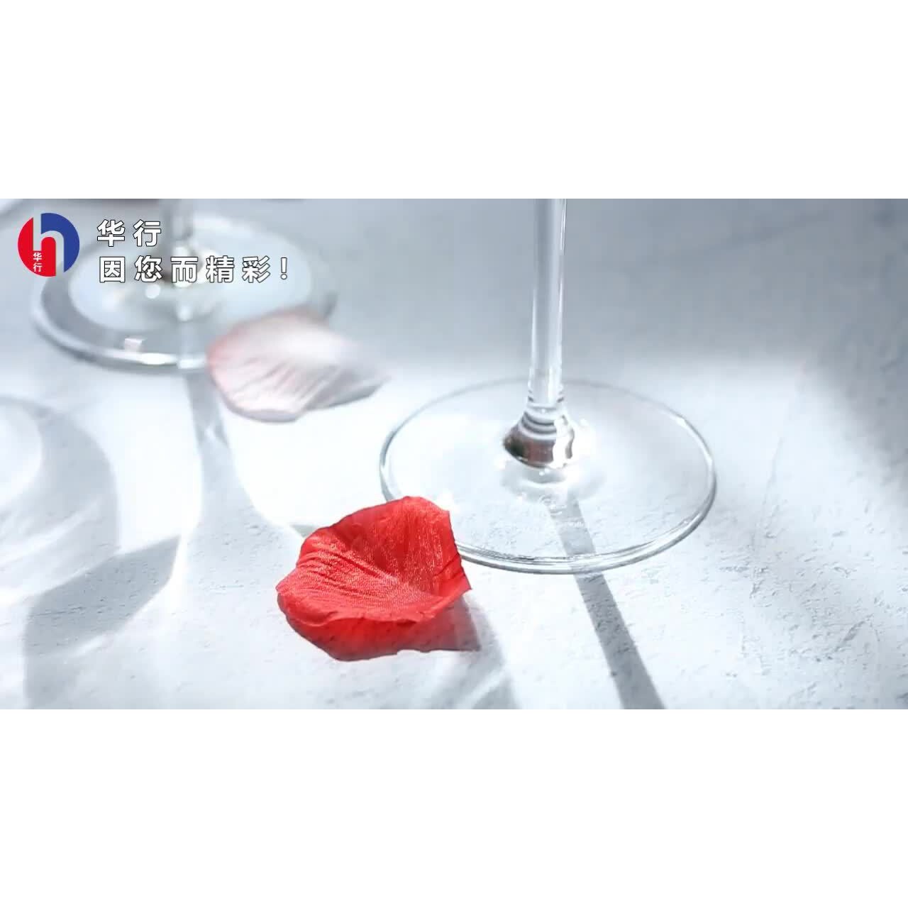法国弓箭C&S原装水晶玻璃高脚红酒杯家用白葡萄酒杯香槟杯红