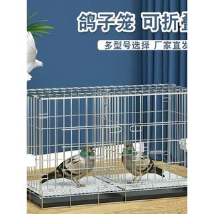 斑鳩鳥(niǎo)籠鴿子籠養(yǎng)殖籠鴿r子配對(duì)籠籠子大型大號(hào)繁殖鴿籠鴿子籠家