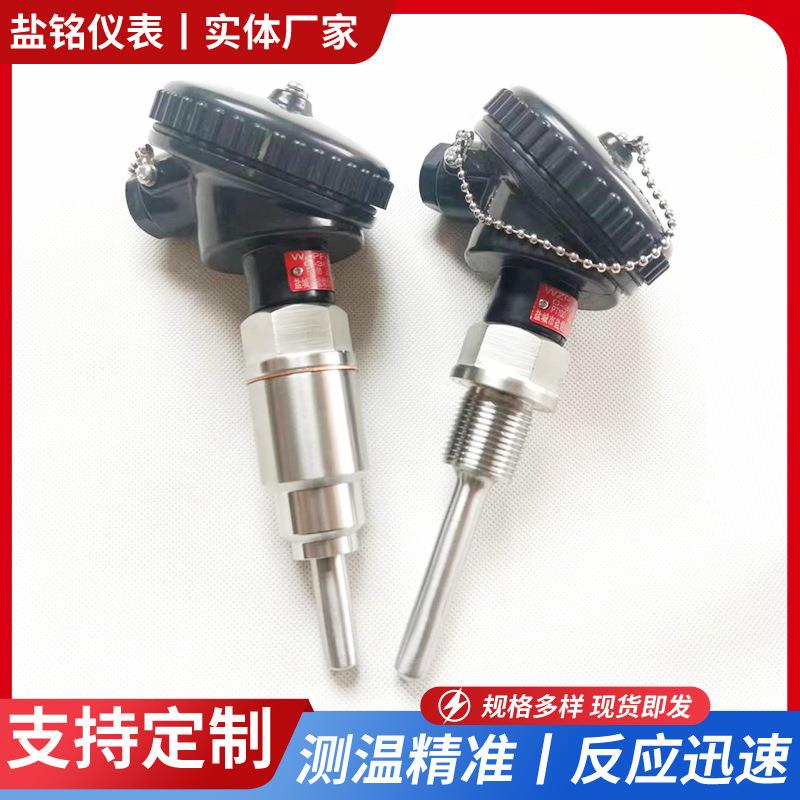 厂家供应PT100防腐耐酸碱热电阻温度传感器