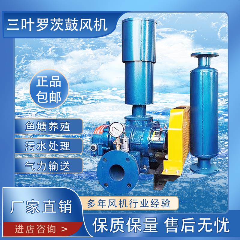全套罗茨鼓风机水产养殖污水处理气力输送设备高压底部增氧增氧机