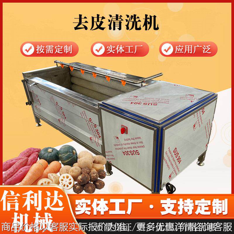 莲藕毛辊清洗机 山药玉米脱皮清洗设备 根茎类中草药去皮清洗机