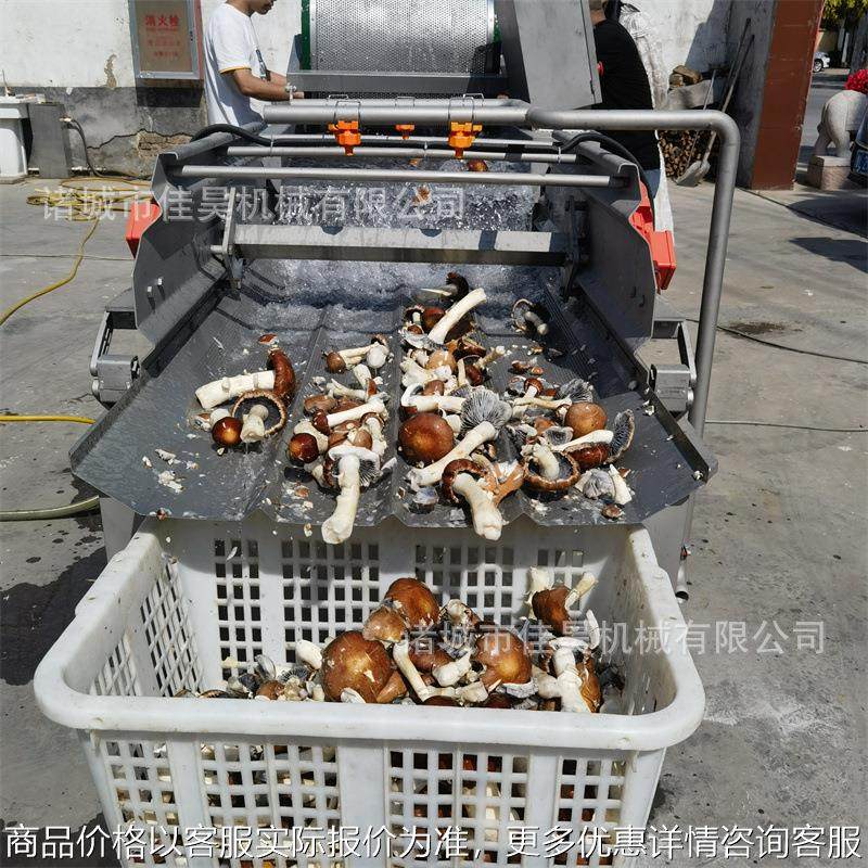 莲藕片涡流洗菜机胡萝卜丁涡流清洗机全自动净菜加工设备