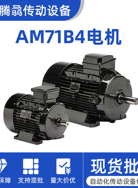 非标定制意大利LAFERT拉菲特高效电机变频马达AM71B4