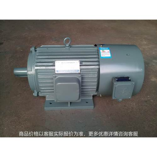 YVP250M-4变频调速电动机 江苏新大力电机 厂价直供（55KW）