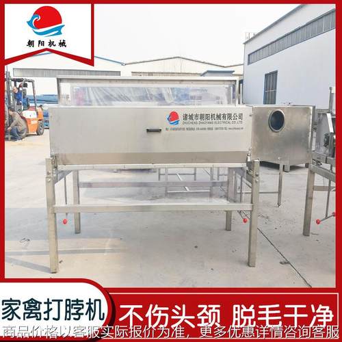 淘汰蛋鸡全自动头颈脱毛机家禽屠宰流水线打脖退毛机鸡脖子打毛机