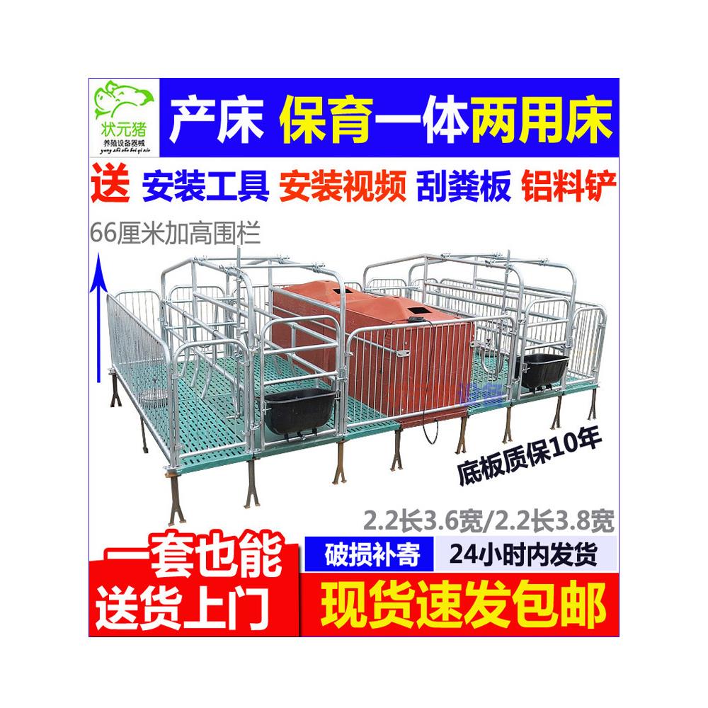 母猪产床产保两用一体床热镀锌管全覆合板仔猪分娩床猪场厂家直销