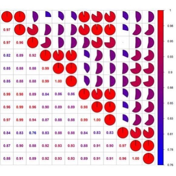 网络药理学专业代做 cytoscape作图 GO/KEGG富集 PPI网络