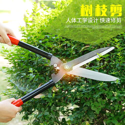 花剪园艺剪刀绿篱剪工具草坪修剪修枝剪花草树枝剪V粗枝园林大剪