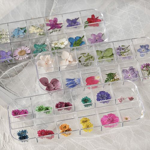 网红爆款十二格混装美甲压花饰品干花迷你花朵指甲配饰滴胶