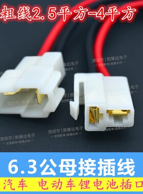6.3mm2孔电动车48V锂电池对插公母F对接口60v电瓶车电源T型接电口