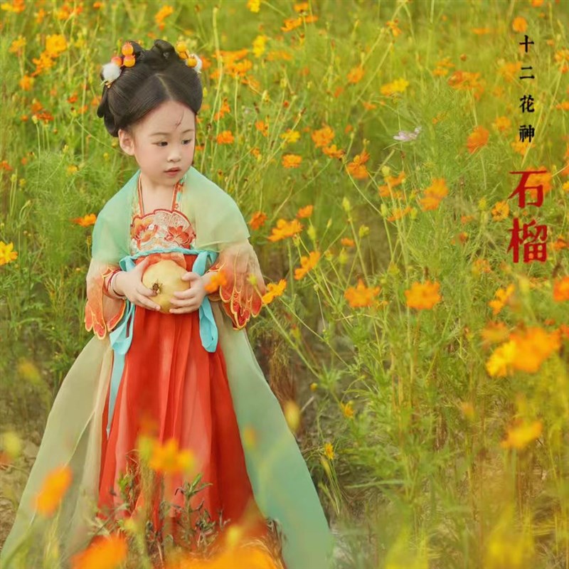石榴花神女童汉服中国风万针刺绣齐胸襦裙儿童古装连衣裙公主裙唐
