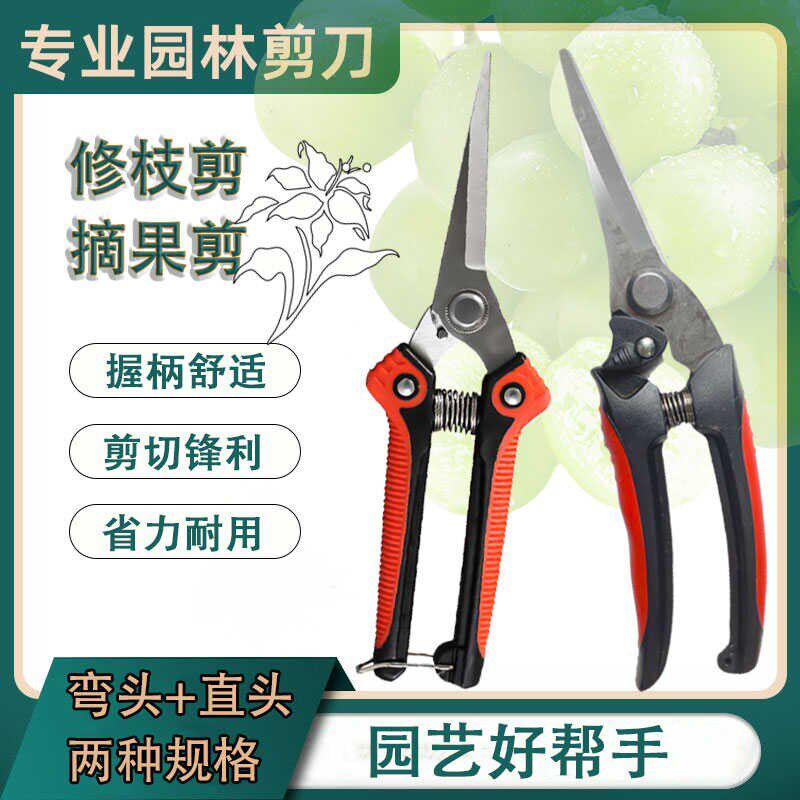 摘果剪花园果树专用园林修花剪修枝剪蔬果稀果剪子锋利剪刀农用