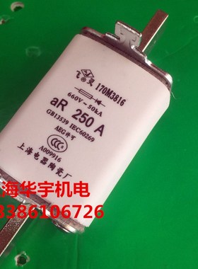 170M3816 170M3816D 250A 保险丝M 690V/700V 熔断器