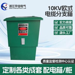 10KV 电缆分支箱一进两出冷轧板外壳插拔 35KVDFW 12欧式