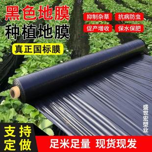 农用黑色地膜除草专用黑地膜保水保肥种植地膜抗老化农用塑料薄膜