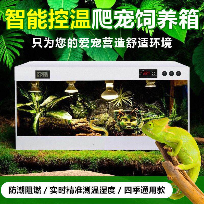 爬行动物宠物繁殖箱鬃狮蜥蜴豹纹睫毛角壁虎海龟科尔鸭蜘蛛刺猬蛇
