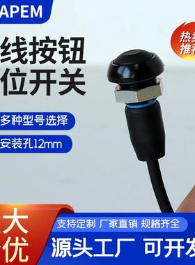 法国APEM IPR3SAD2 防水按钮带线复位按键开关开孔12MM线长20公分