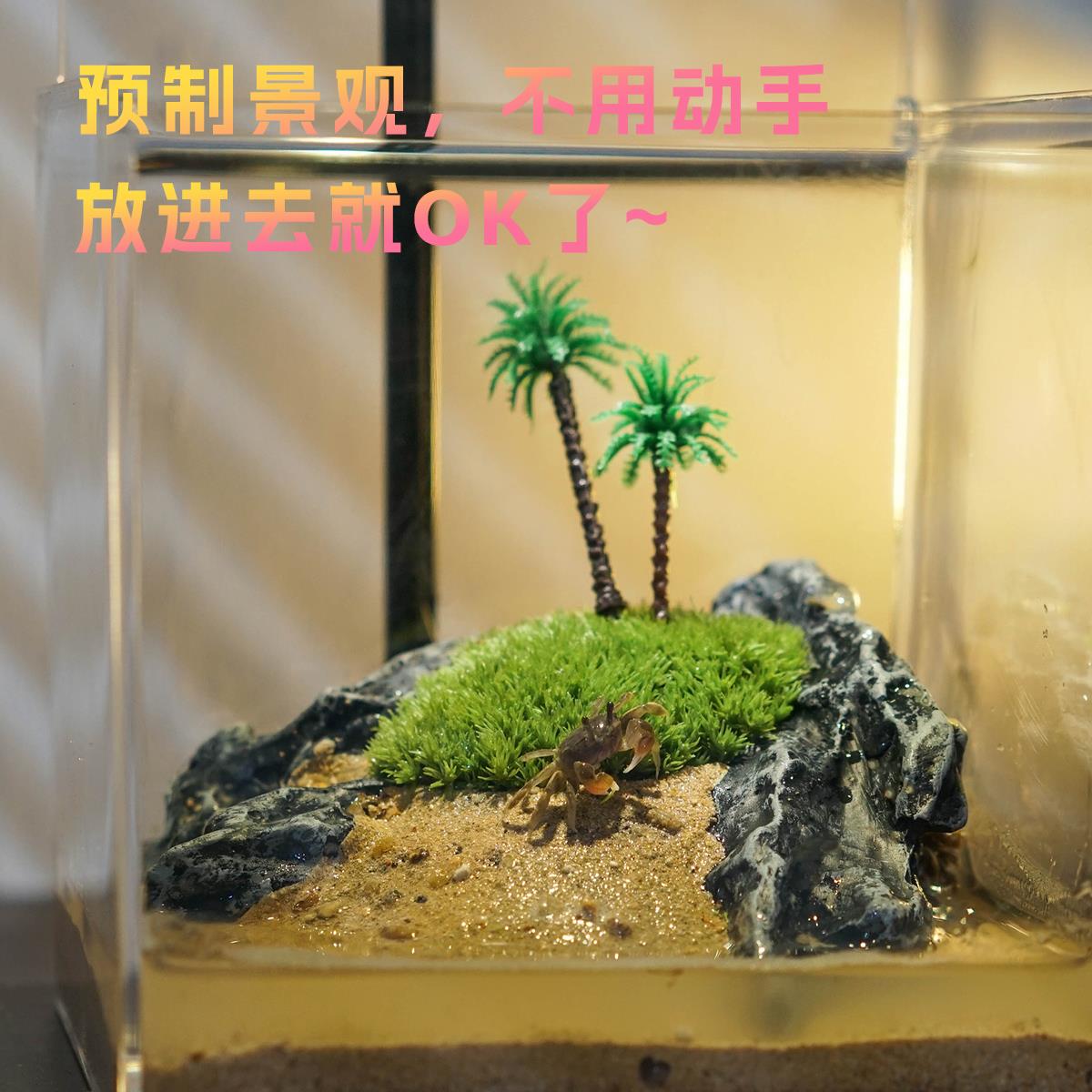 小螃蟹生态缸造景全套植物桌面小鱼缸苔藓雨林微景观两栖水陆套餐