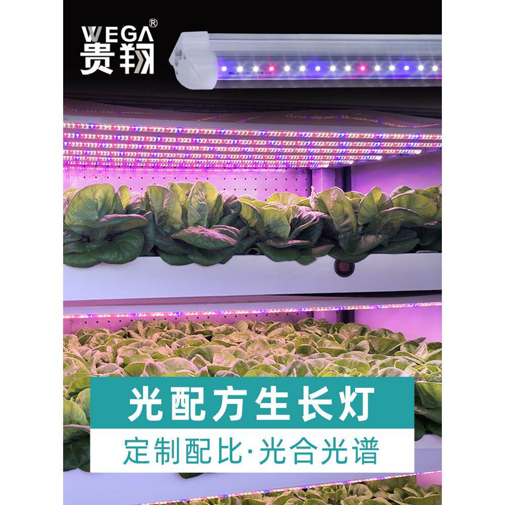 贵翔 全光谱LED植物生长灯多肉补光灯组培灯育苗室内彷太阳光家用