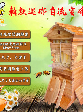 厂家 金圣宫煮蜡杉木迷你自流蜜蜂箱 养蜂中蜂自流蜜