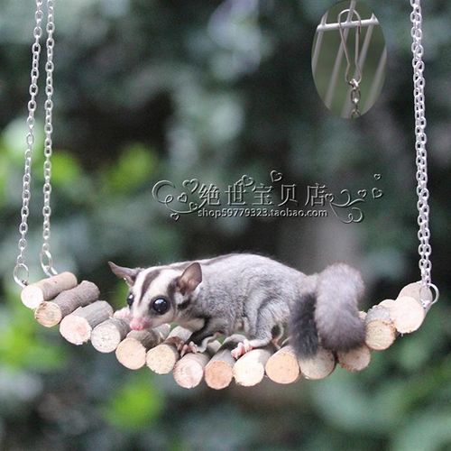 蜜袋鼯可变形原木树枝秋千