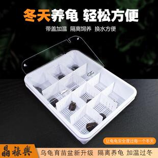 网红龟育苗盆饲养缸隔离盒发色盒加大白龟缸黄缘龟蛋龟剃刀龟通用
