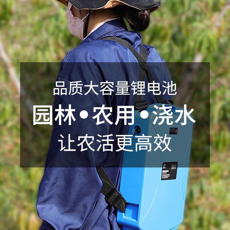 硬派锂电池割草机绿篱机电瓶12V24v48v充电式锂电池便携电池园林
