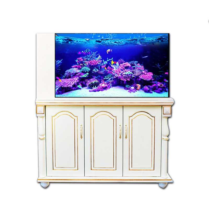 海缸定制 各种设计自由选择 海水玻璃鱼缸水族箱底滤背滤一条龙