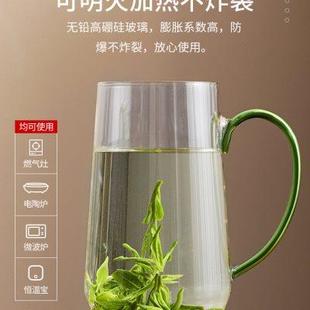 家用茶杯办公室绿茶杯带把手专用泡茶杯 高硼硅玻璃杯耐热杯子男士