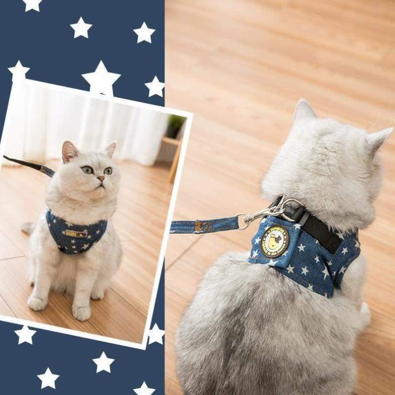 层蓝猫牵引绳金渐背带金外出猫咪用品布偶银渐短美短猫英层吉拉胸